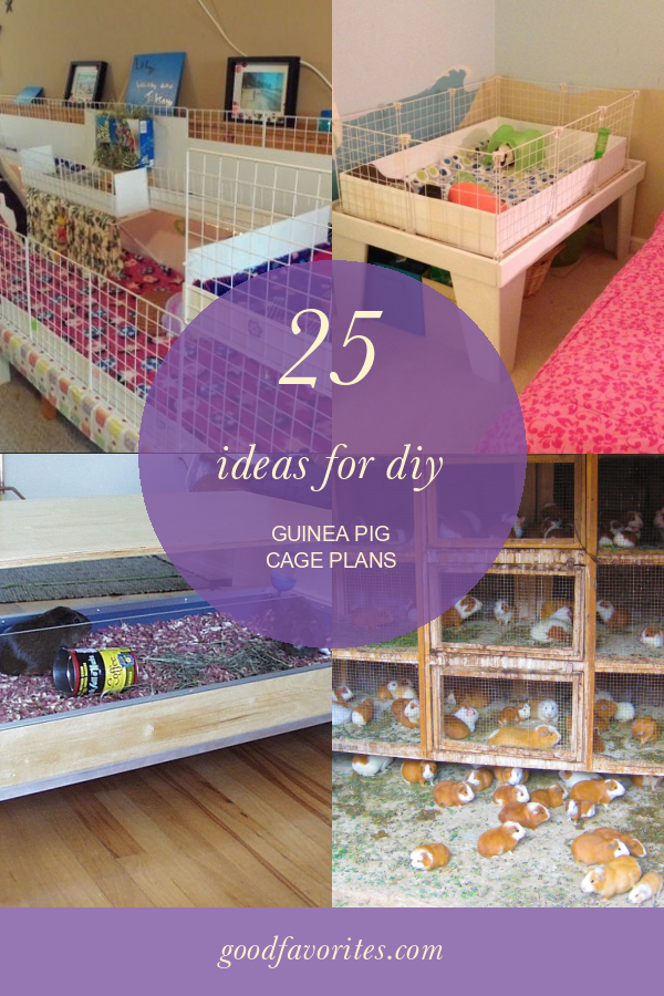 25 Ideas for Diy Guinea Pig Cage Plans Home, Family, Style and Art Ideas